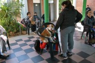 RESISTENCIA: Nueva Jornada De Castración Gratuita De Mascotas En El CCM Del 244 Viviendas