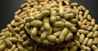 Peanut allergies in children drop following advice to feed the allergen to babies, study finds