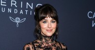 Dakota Johnson "Doesn't Care" About Critiques Over Her Sheer Red Carpet Style