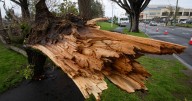 Tasmania's deadly storm subsides: SES responds to 100 calls