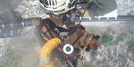 VIDEO: Watch: Dog rescued after falling down canyon in Arizona
