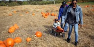 Warm, dry October expected for many