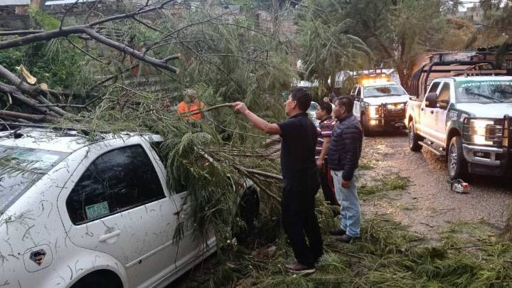 Atienden caída de árboles y anegación por lluvias en Oaxaca de Juárez