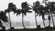 Well-Marked Low Pressure Area Over BoB To Become Depression In 12 Hours: IMD