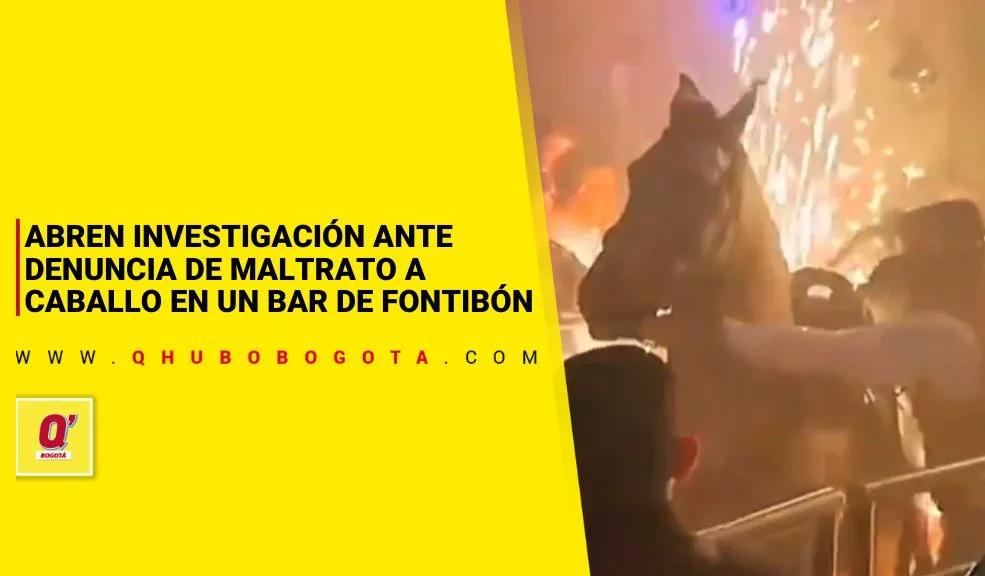 Abren investigación ante denuncia de maltrato a caballo en un bar de Fontibón
