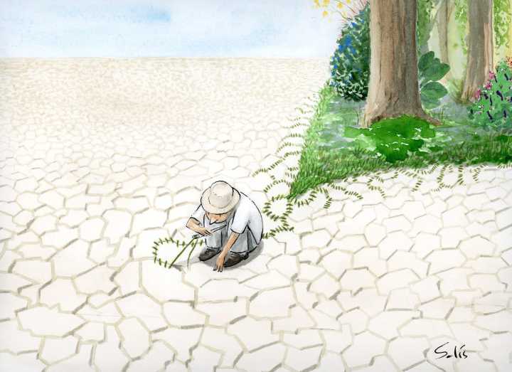 QU Dongyu (FAO): El planeta produce suficientes alimentos pero el 8 % de la población mundial sufre subalimentación crónica