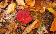 After days of summery temperatures, central Pa. will feel fall move in