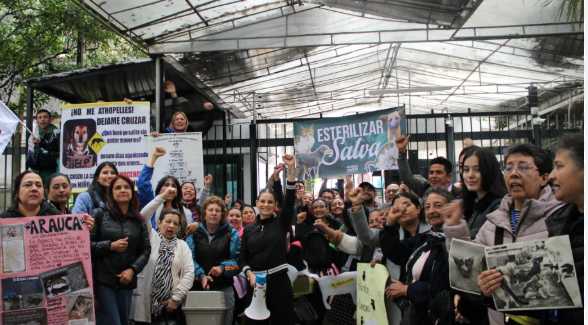 Animalistas hicieron plantón frente al Ministerio de Ambiente por retrasos en la implementación de la Ley Esterilizar Salva