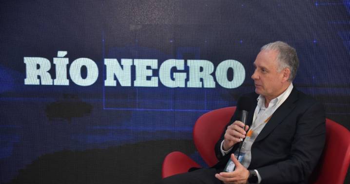 Milicic, el pulso civil detrás de Vaca Muerta y la minería