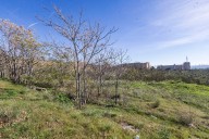 PSOE teme el impacto visual de los edificios del PAU Palacio