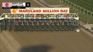 Maryland Million celebrates its 40th anniversary at Laurel Park