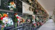 Todos los detalles del dispositivo especial que habrá en Albacete en torno al cementerio por Todos los Santos