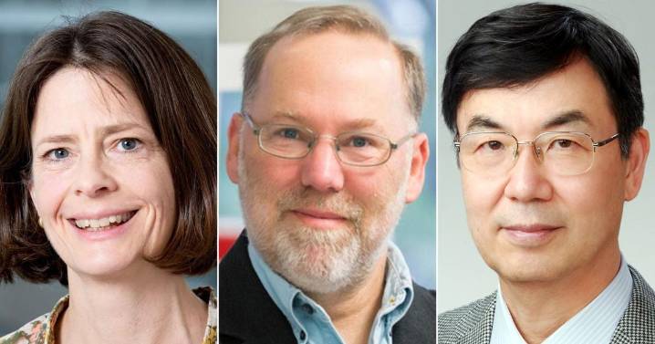 Nobel Prize in medicine goes to trio of scientists for discovering how the immune system is kept in check