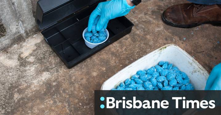 Experts warn of ‘excessive bleeding’ for victims of rat poison