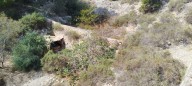 Las chabolas se desplazan al centro de Alicante
