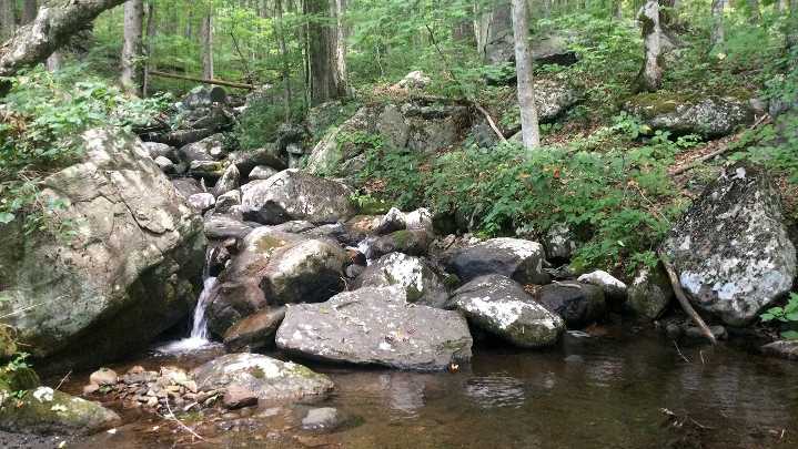More than 100 acres protected from development in Roan…