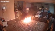 Dog starts house fire after biting lithium