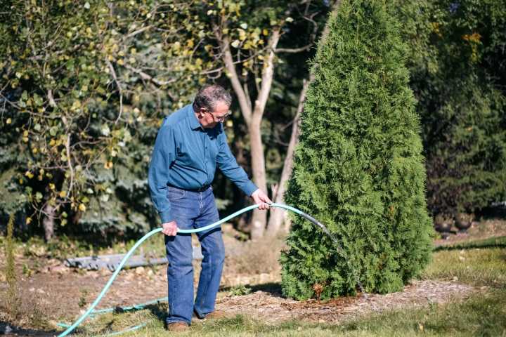 Why watering trees, shrubs and perennials in fall is important