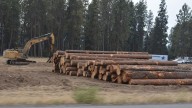 Trees come down for I-90 work in Coeur d'Alene