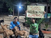 «¡SOS!»: refugio para animales sin alimento