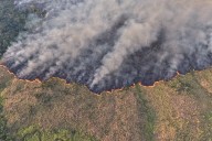 Global goal of zero deforestation by 2030 is severely off track