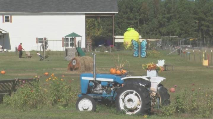 Circle D Funny Farm offers one-of-a-kind fall experience before season ends