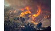 LAFD after-action report reflects staffing shortages, challenging winds in Palisades fire response