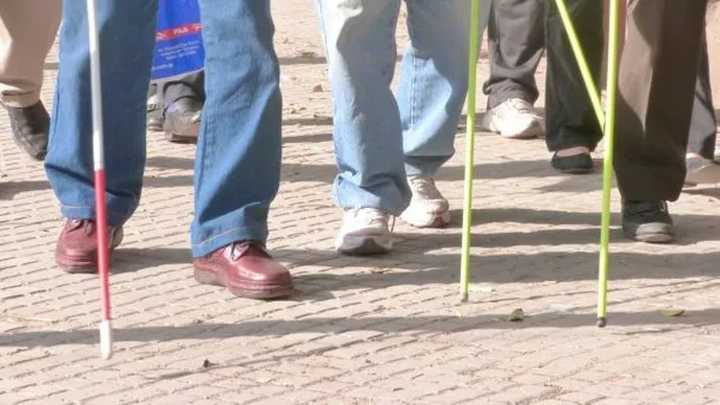 ¿Cuáles son las diferencias entre el bastón verde y el blanco?