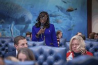 Felicia Robinson revives bill to create database for verifying felons’ voting eligibility