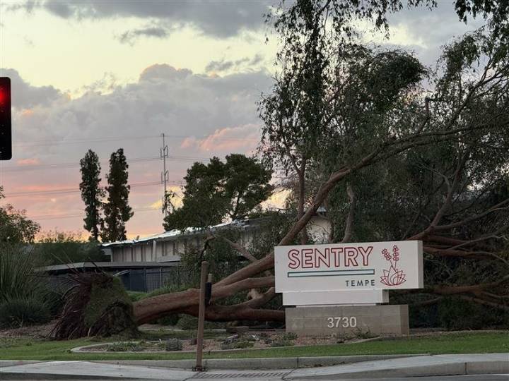 The City of Tempe’s response to storm damage