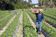 Trump's Labor Department: Trump's immigration crackdown is causing labor shortage