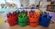 $10-a-day child-care: Ontario falling short, auditor says