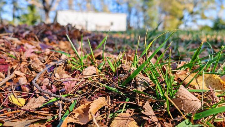 Why Raking Your Leaves Matters and Other Fall Tips