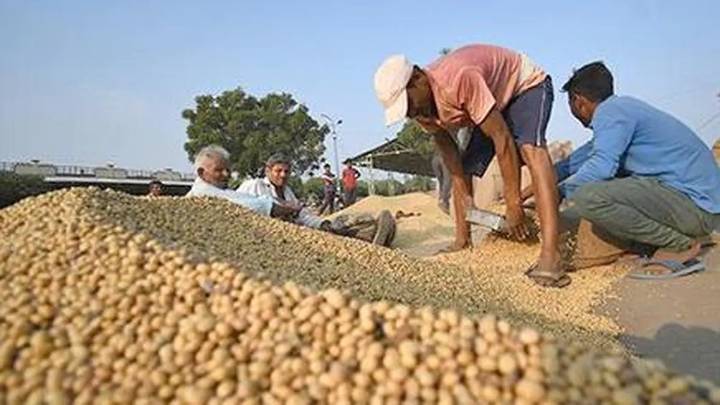 Soyabean carryforward stocks drop 47% in 2025-26 to 4.66 lakh tonnes: SOPA