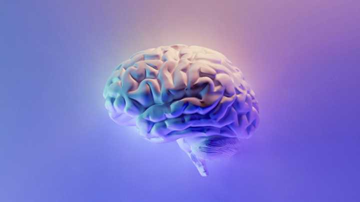 Esta es la edad en la que el cerebro humano alcanza su máximo rendimiento
