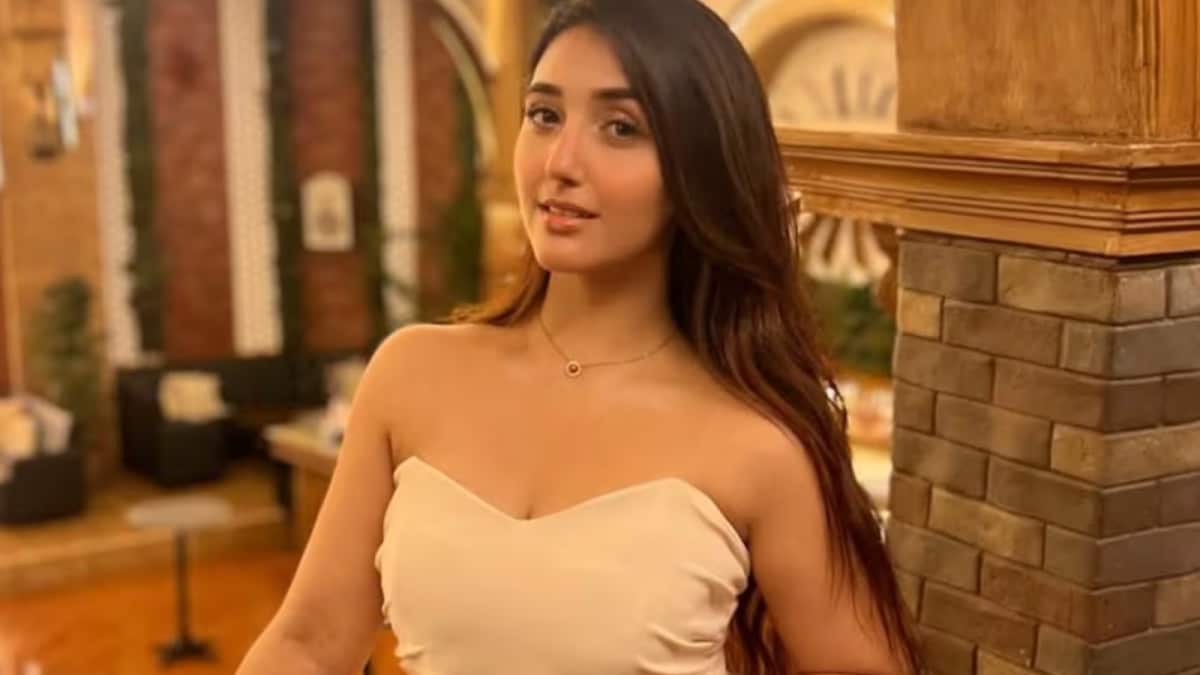 Bigg Boss 19: ‘Reel-life’ Brother Rohan Mehra Supports Ashnoor Kaur After Tanya Mittal’s Body