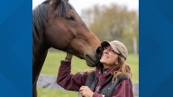 What pet owners need to know about the benefits of massage: Ready Pet GO!