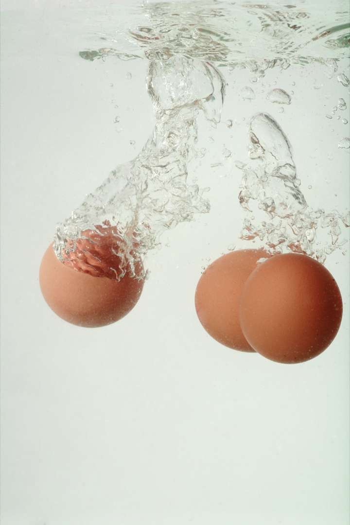 This Reddit community collects the most disturbing eggs on earth
