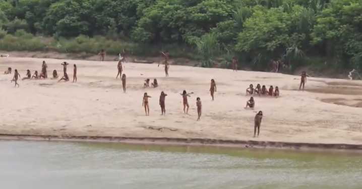 Warning isolated Indigenous groups could vanish within a decade
