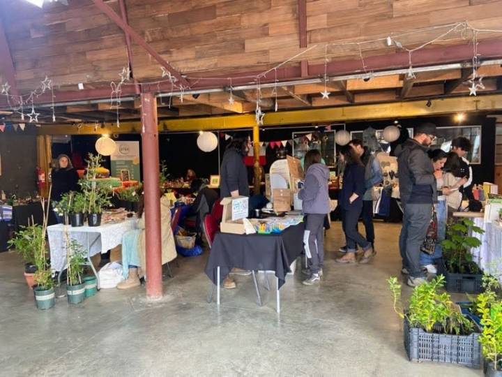 Más de 200 personas participaron en la 4ª Expo Verde de Llanquihue: sostenibilidad, comunidad y crea...