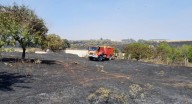 Exigen mejoras "que sirvan de verdad" para los agricultores y ganaderos afectados por los incendios