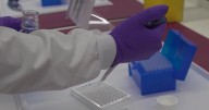 White House collaborates with AstraZeneca to reduce drug prices