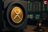 No, WazirX Cannot Cover Hack Losses With User's XRP Balance