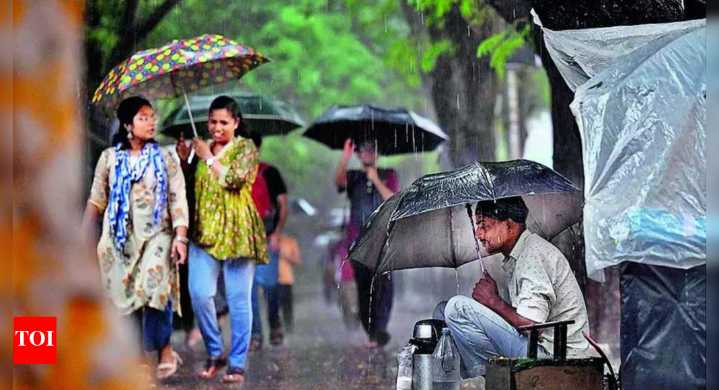 False alarm: IMD red alert fizzles as Chennai sees light rain only; suburbs mostly dry, schools remain closed