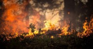 City of Pocatello receives $4.84M grant for wildfire risk reduction