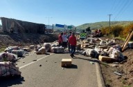 Dos personas muertas deja accidente de camión que volcó en la ruta 5 Norte en Colina