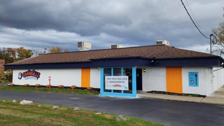 Water park for dogs announces opening date