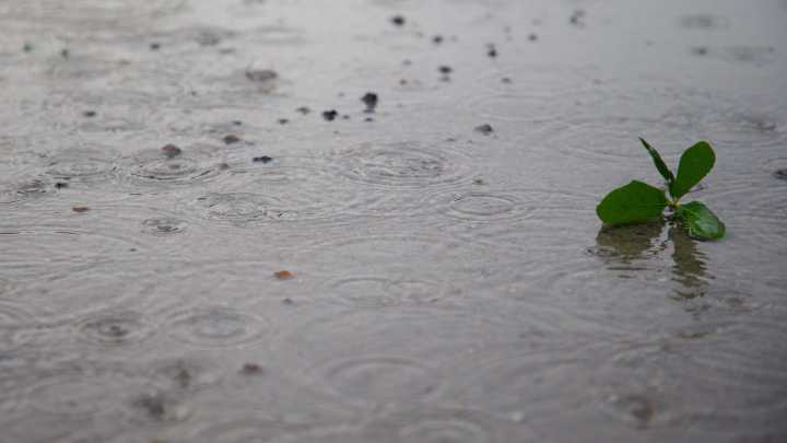 Corpus Christi can expect rainfall for more than a week