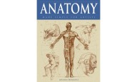A tribute to Anatomists