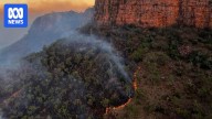 Kimberley bushfire season sees flames burn area double the size of Sydney